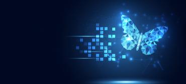 Technology Adoption Challenges